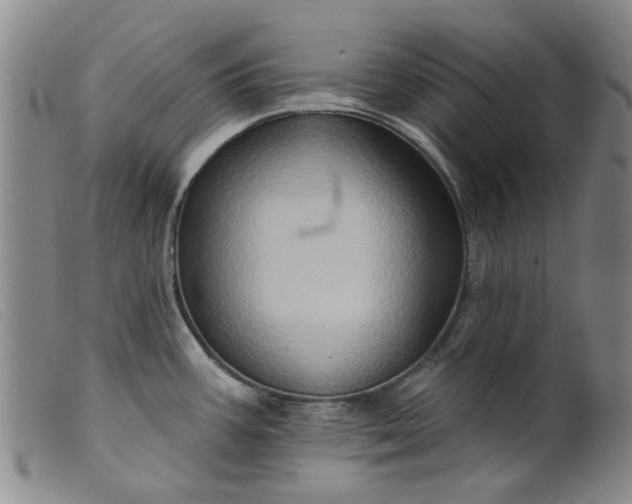 X0000099451387200805231731