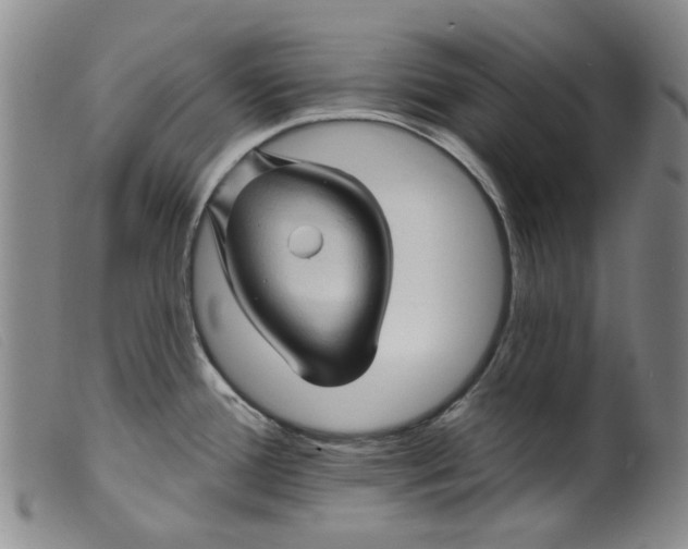 X0000099451388200805231731