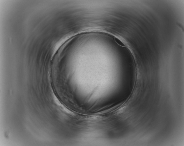 X0000099451390200805231731