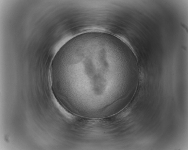 X0000099451391200805231731