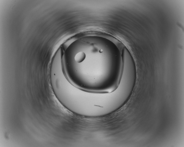 X0000099451392200805231731