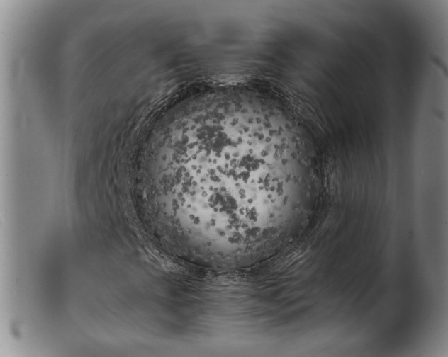 X0000099451393200805231730