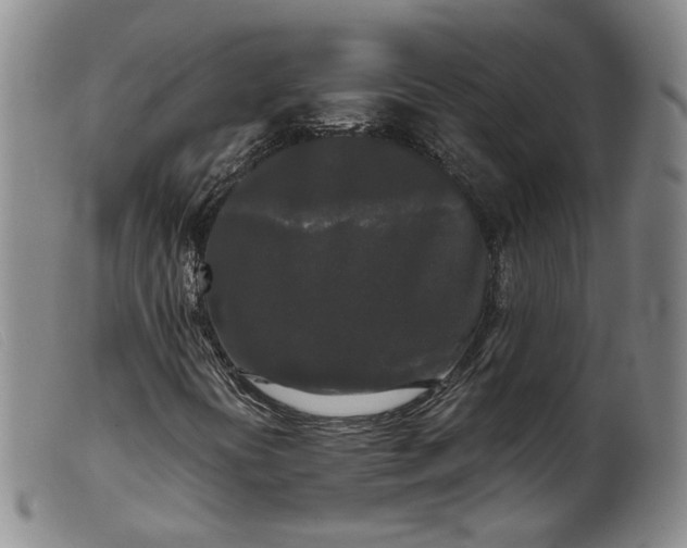 X0000099451394200805231730