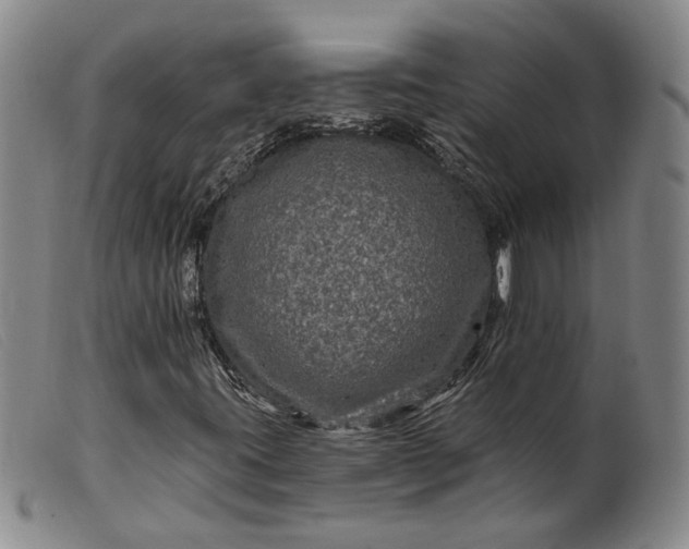 X0000099451395200805231730