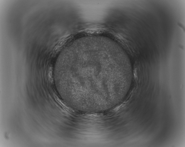 X0000099451396200805231730