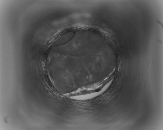 X0000099451397200805231730