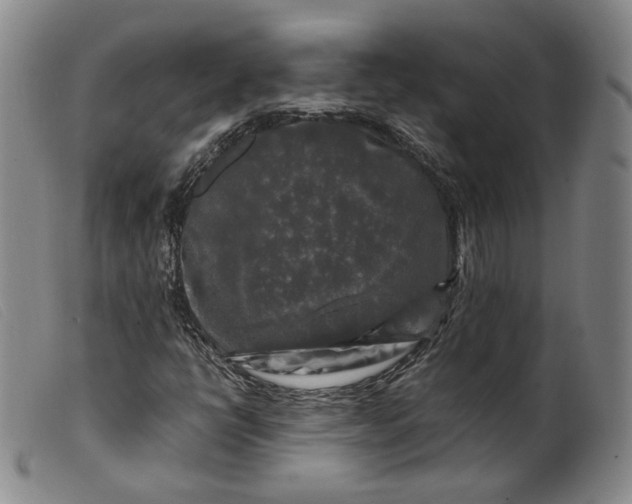 X0000099451398200805231730