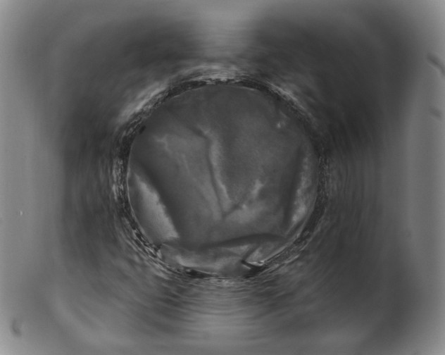 X0000099451399200805231730