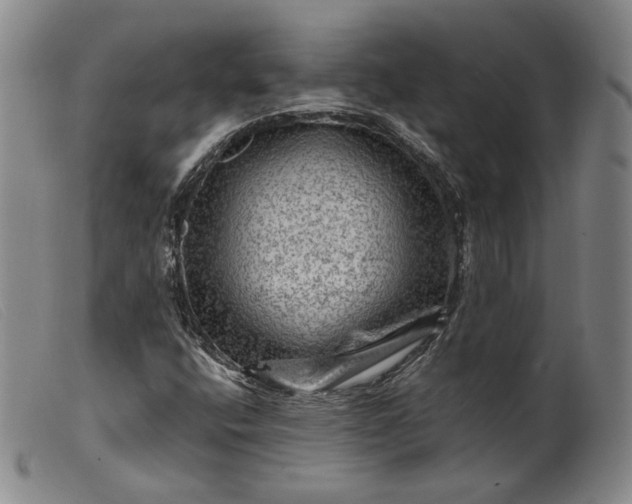 X0000099451400200805231730