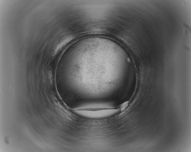 X0000099451402200805231730