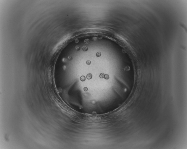 X0000099451403200805231730