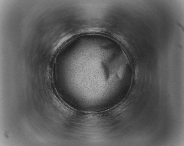 X0000099451404200805231730