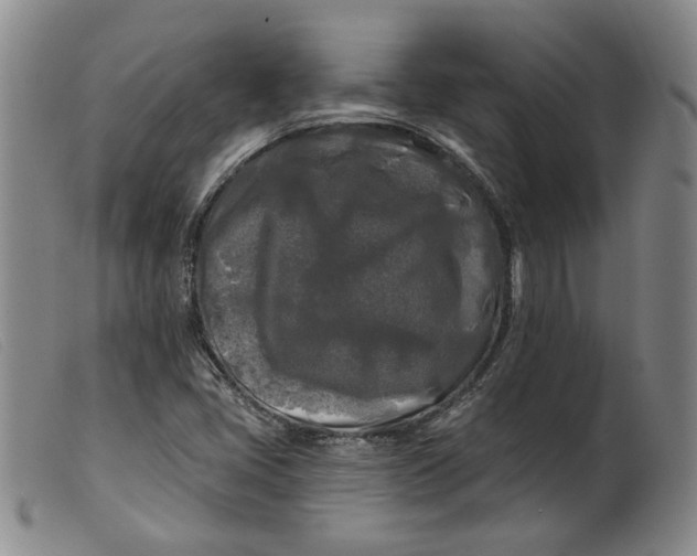 X0000099451405200805231730