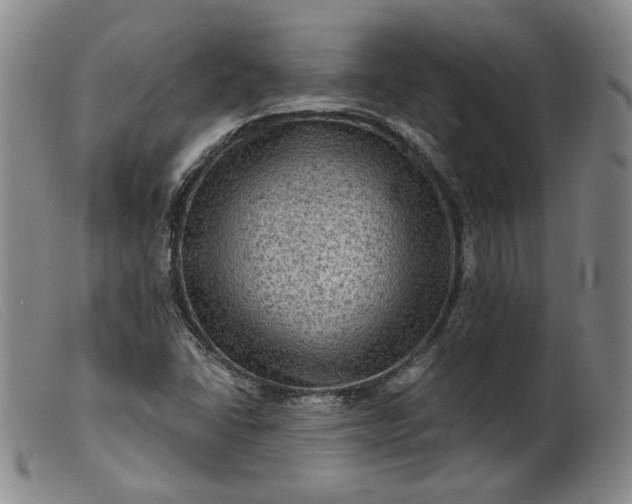 X0000099451406200805231730