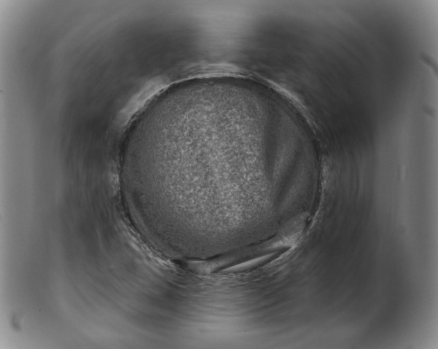 X0000099451407200805231730