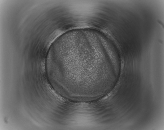 X0000099451409200805231730