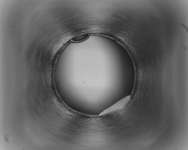 X0000099451410200805231730