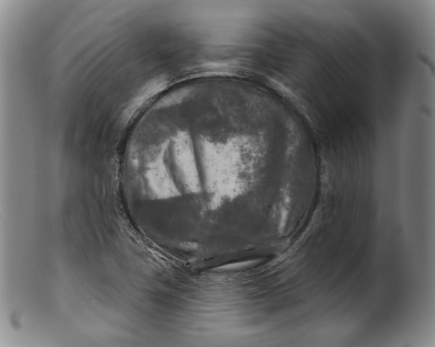 X0000099451411200805231730