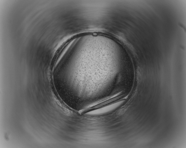 X0000099451412200805231730