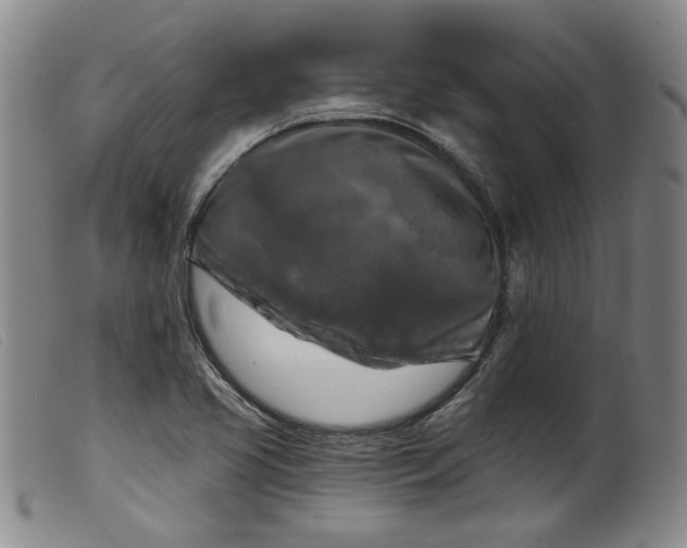 X0000099451413200805231730