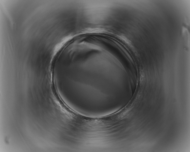 X0000099451414200805231730