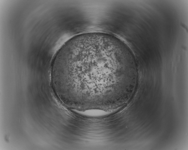 X0000099451415200805231730