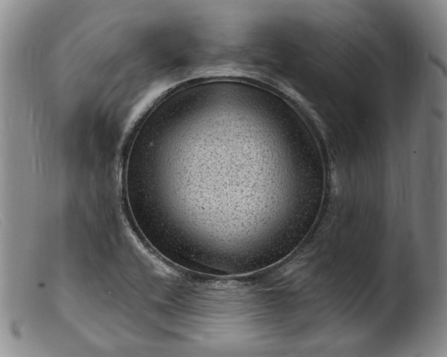 X0000099451416200805231730