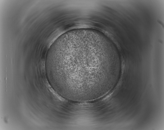 X0000099451417200805231730