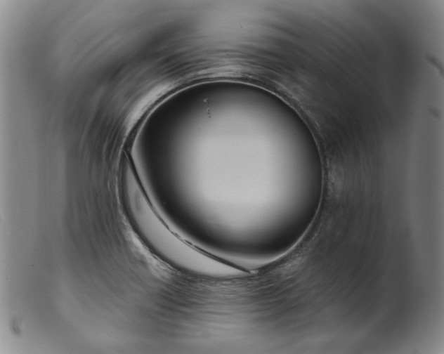 X0000099451418200805231730