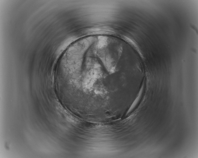 X0000099451419200805231730