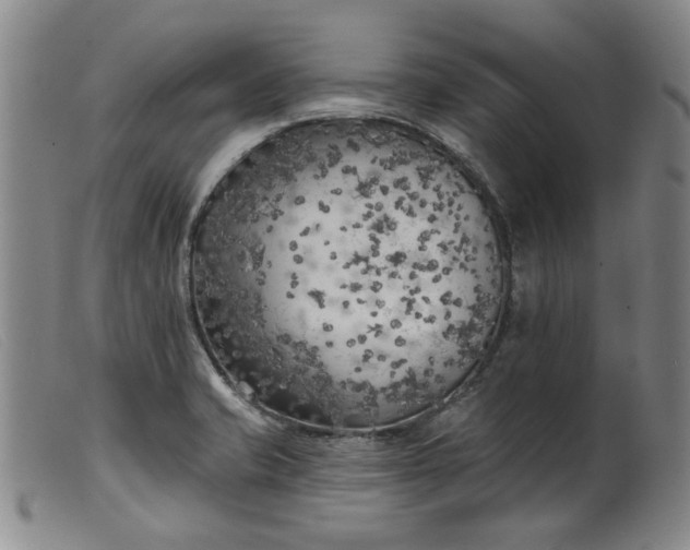 X0000099451421200805231730