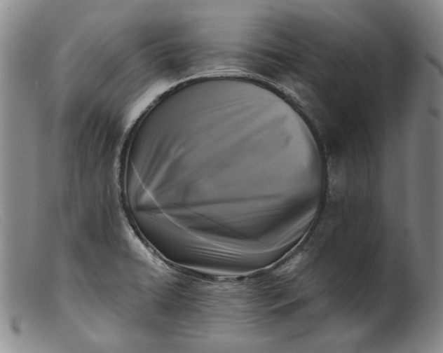 X0000099451422200805231730