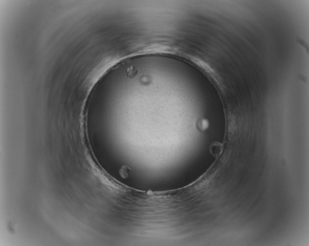 X0000099451423200805231730