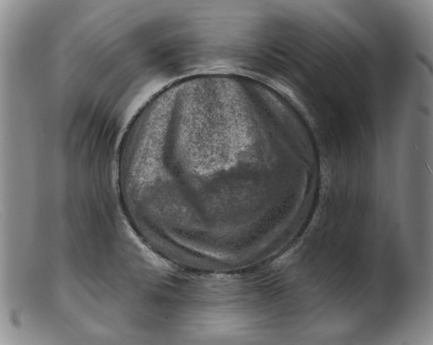 X0000099451424200805231730