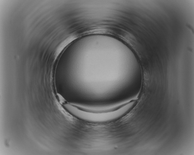 X0000099451426200805231730