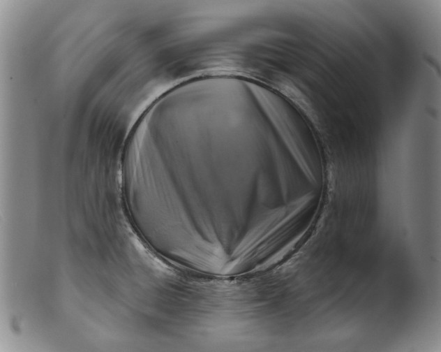 X0000099451428200805231731