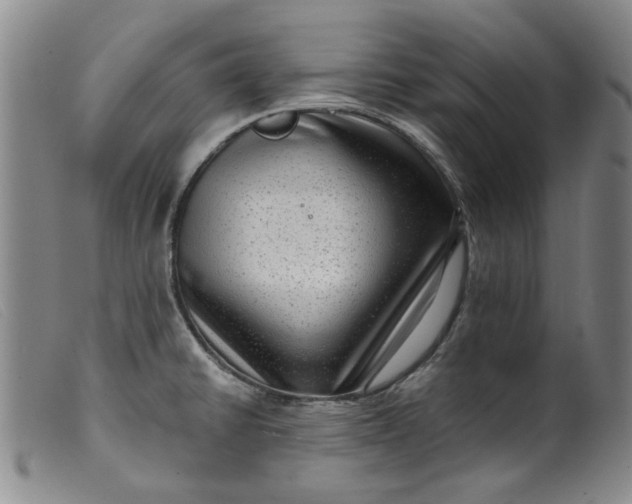 X0000099451430200805231731