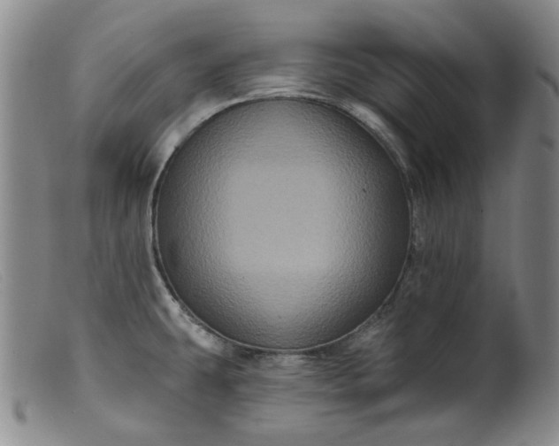 X0000099451431200805231731