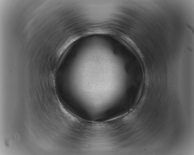 X0000099451433200805231731