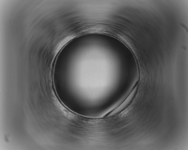 X0000099451434200805231731