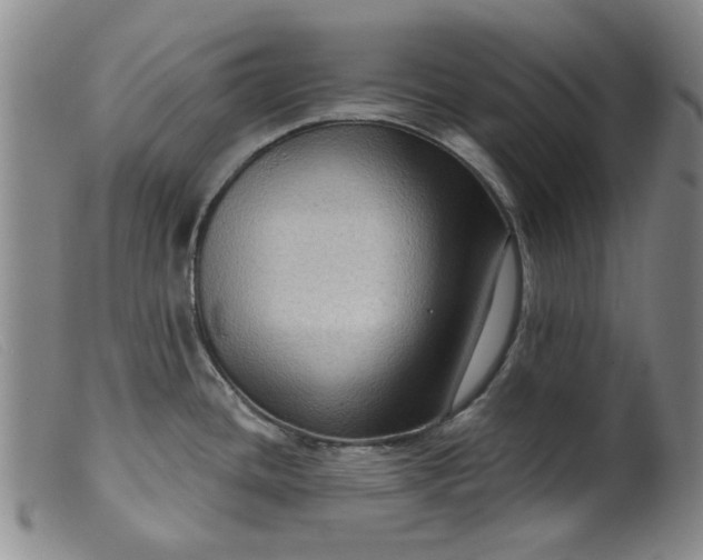 X0000099451436200805231731