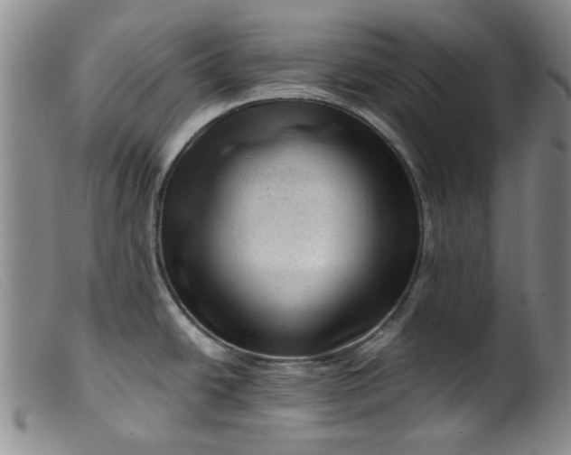 X0000099451438200805231731