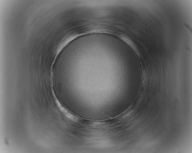 X0000099451439200805231731