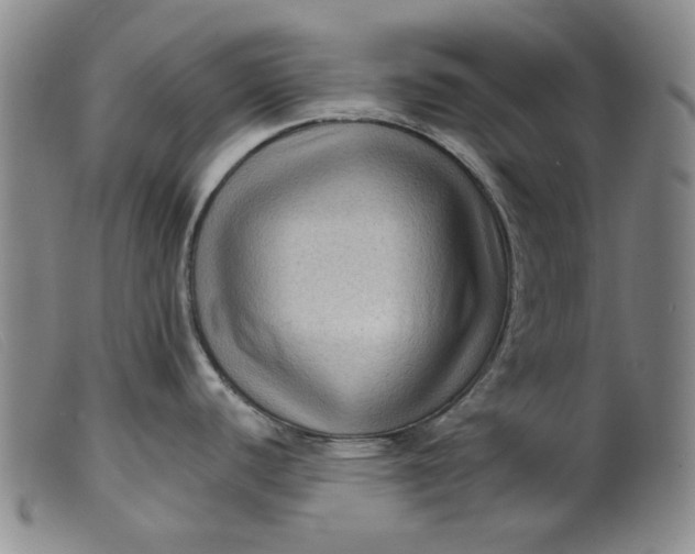 X0000099451440200805231731