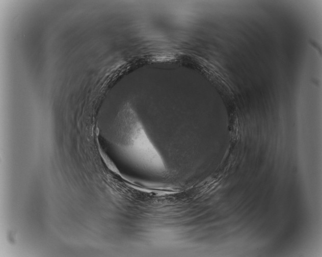 X0000099451441200805231730