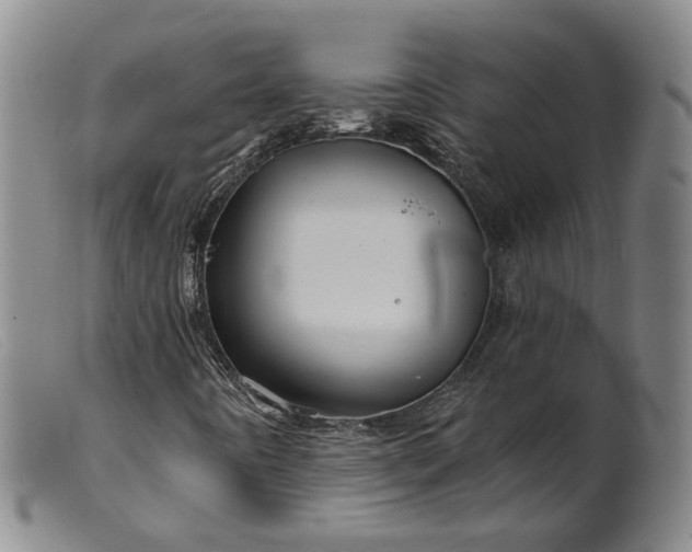 X0000099451442200805231730