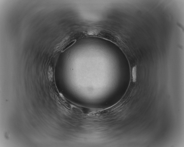 X0000099451443200805231730