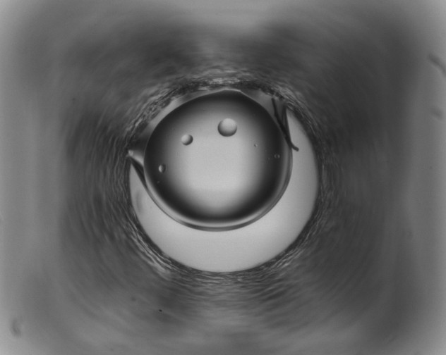 X0000099451444200805231730