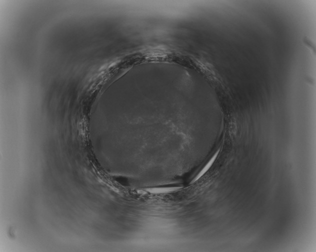 X0000099451445200805231730