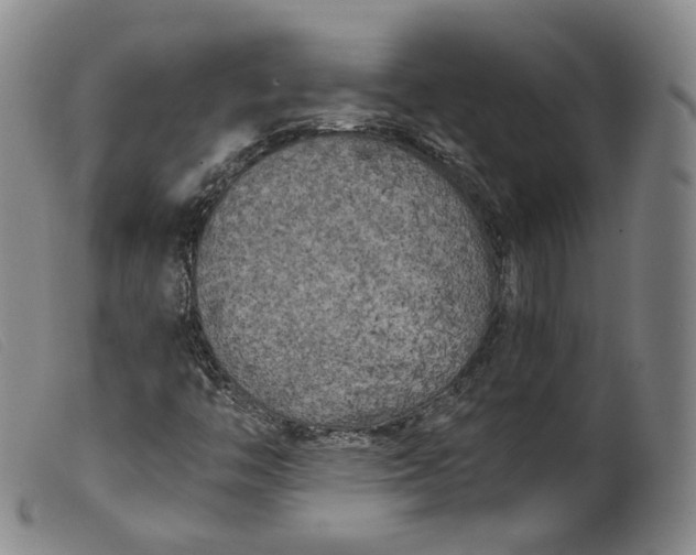 X0000099451446200805231730